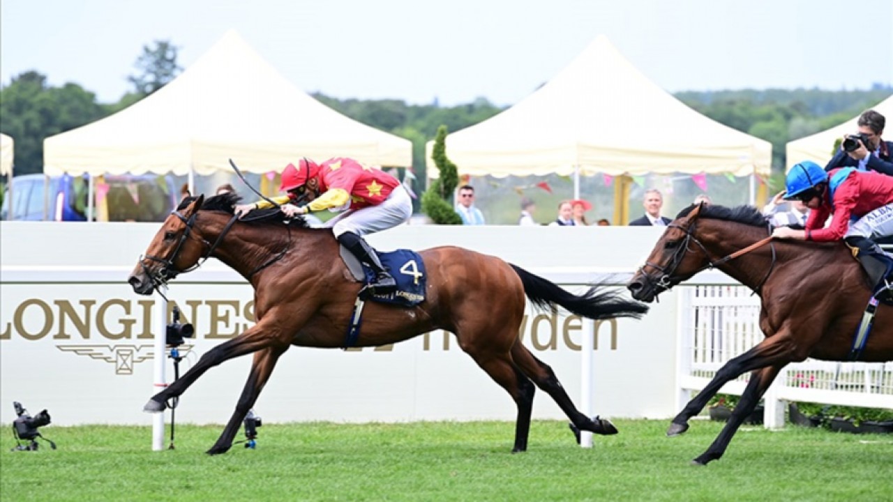 State Of Rest Heads To France For Another Group One Test Image 2